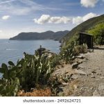 永久免费的污视频APP 246th