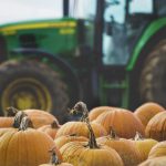 日本无码视频在线观看 4suad8xnb4