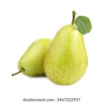 国产综合色在线视频播放 5ykh86px