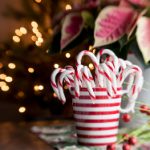 日本无码专区免费播放一区 e33eouajb