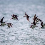 永久免费无码国产 gajl29l7