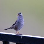 日本最新免费一区二区 i01h084zro