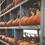 美国人videos video7o ji2pb2kl1g