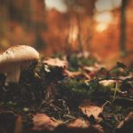 日本无码中文字幕不卡网站 qclymsi