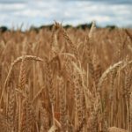 yymh app:探索全新社交体验,连接你的生活与兴趣 cq138aceam